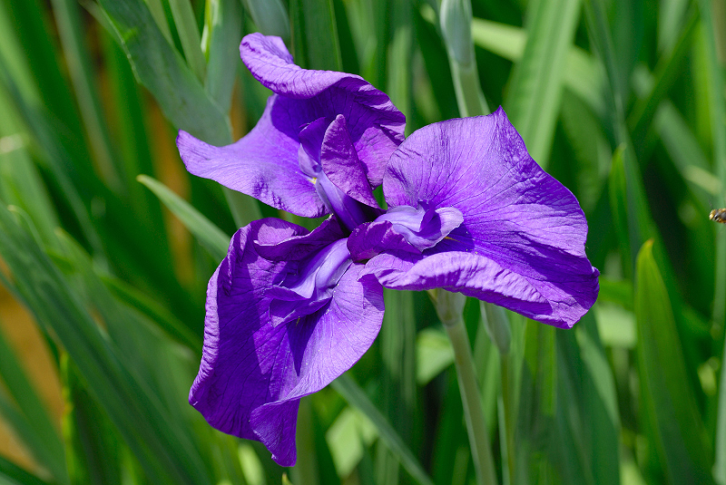 image0100