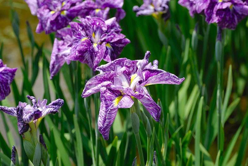 image0101