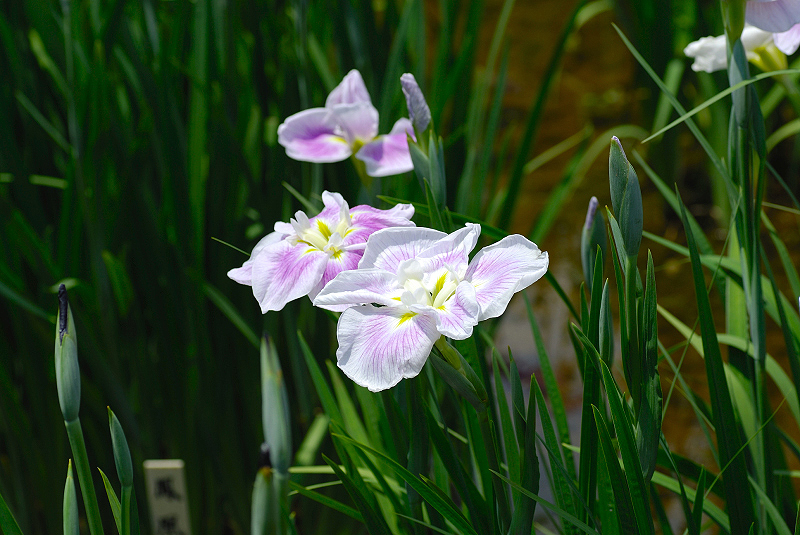 image0102