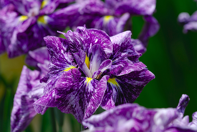 image0104