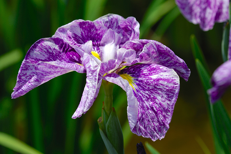 image0105