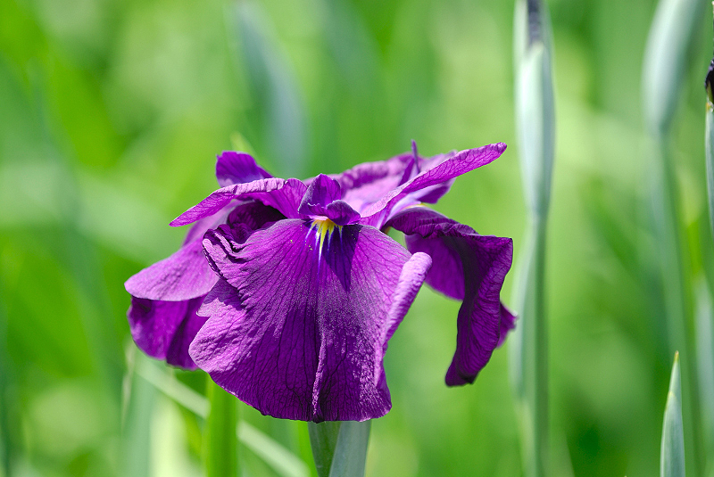 image0107