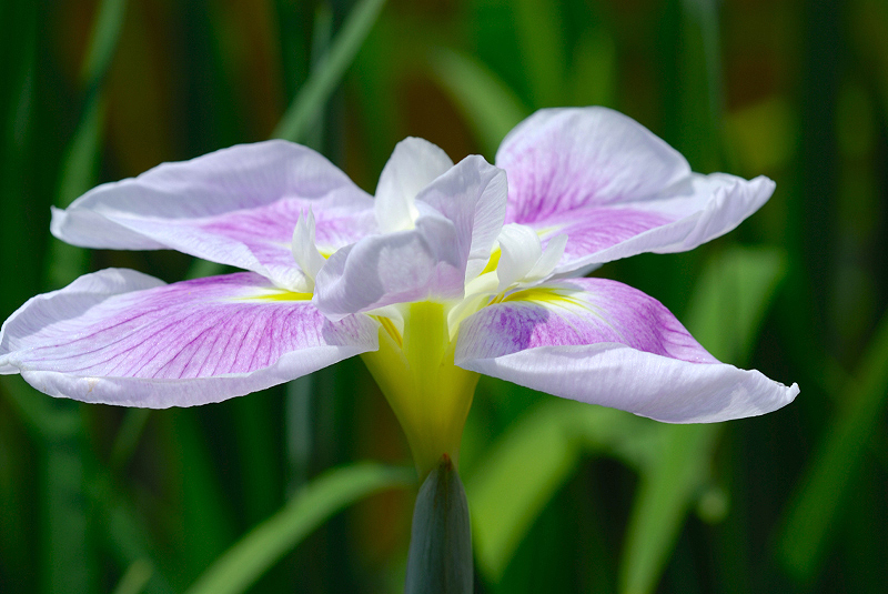 image0108