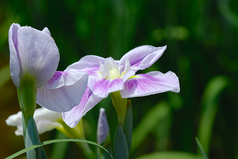 image0109
