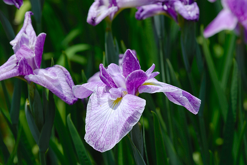 image0110