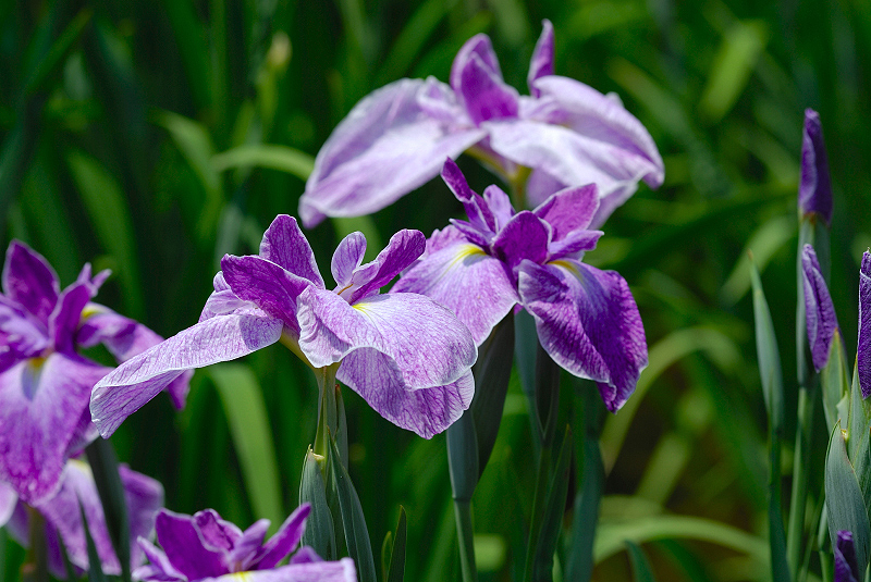 image0111