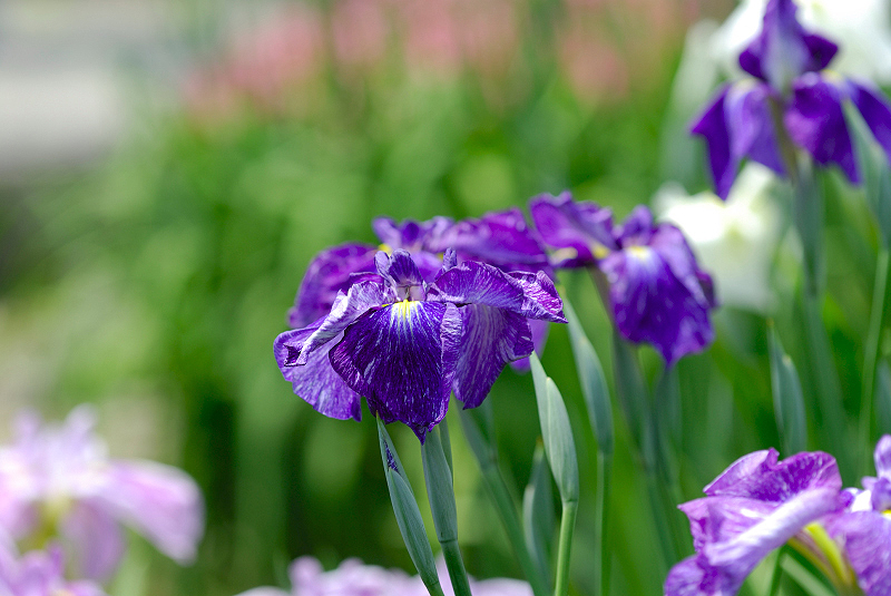 image0113