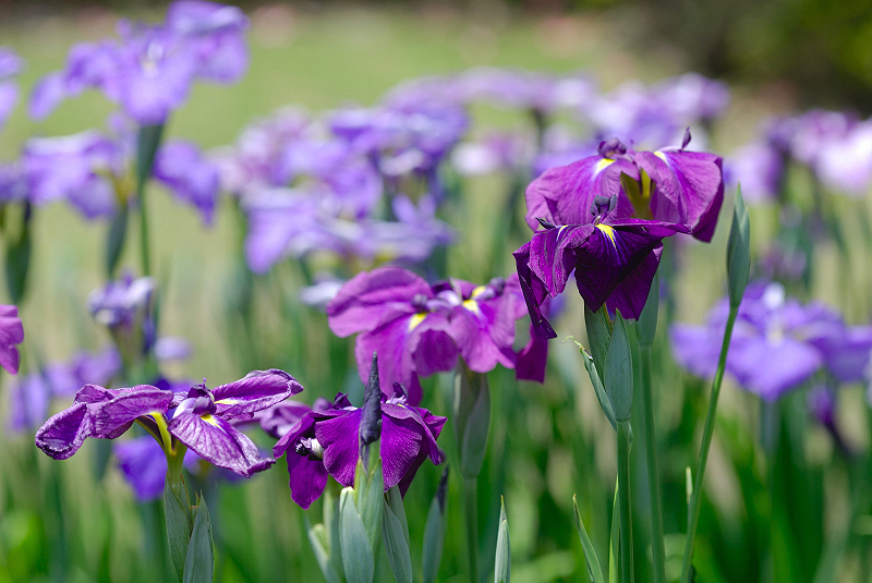 image0115