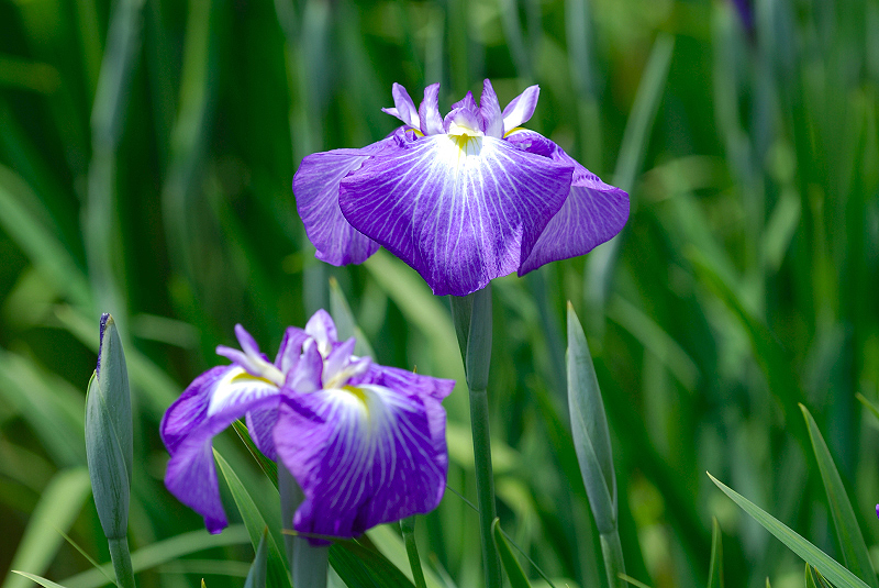 image0116