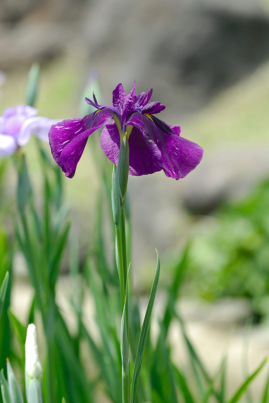 image0119