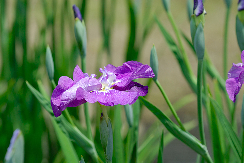 image0122
