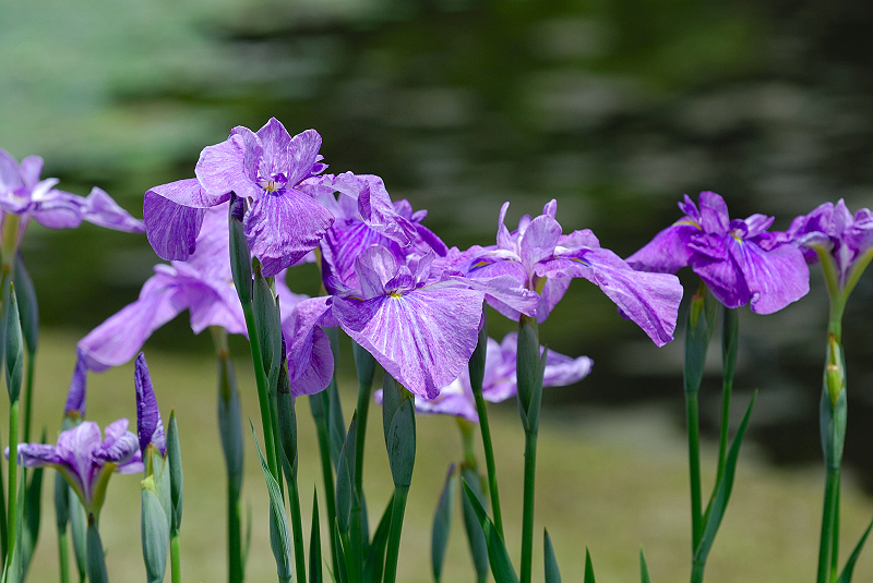 image0123