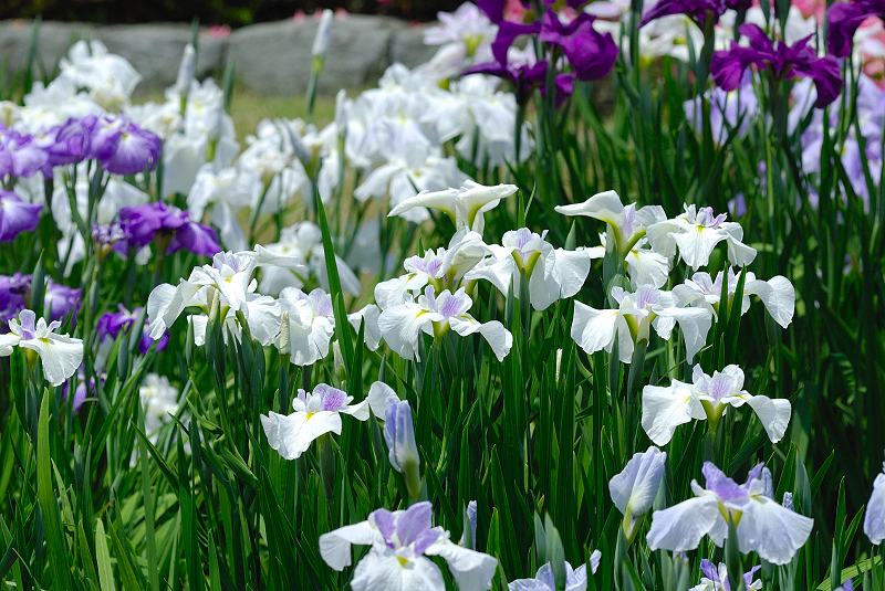 image0124