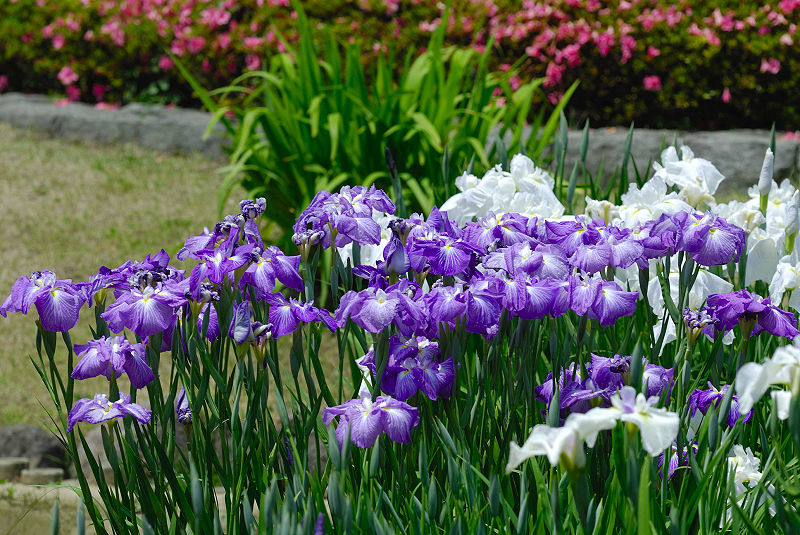 image0127