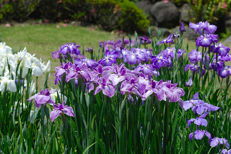 image0128
