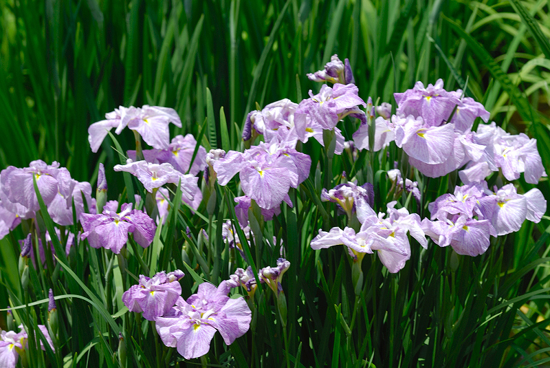 image0129