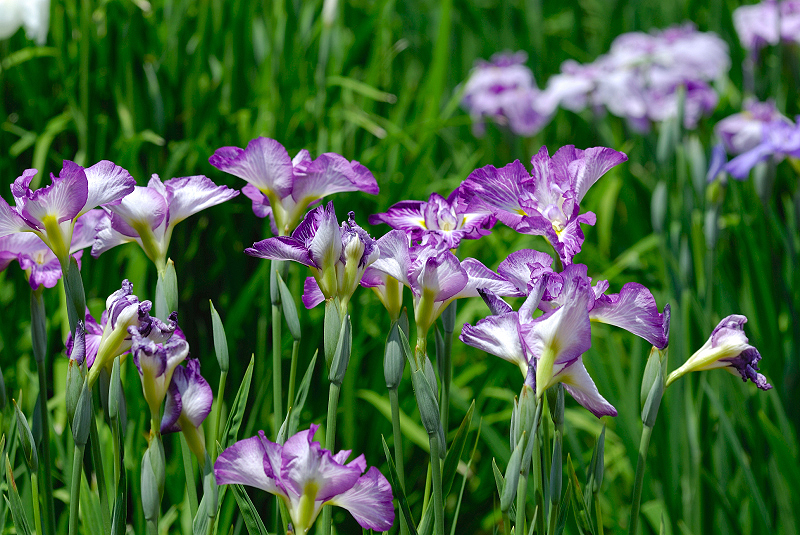 image0133