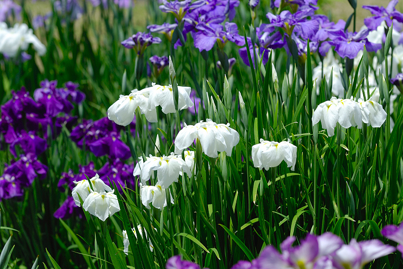 image0134