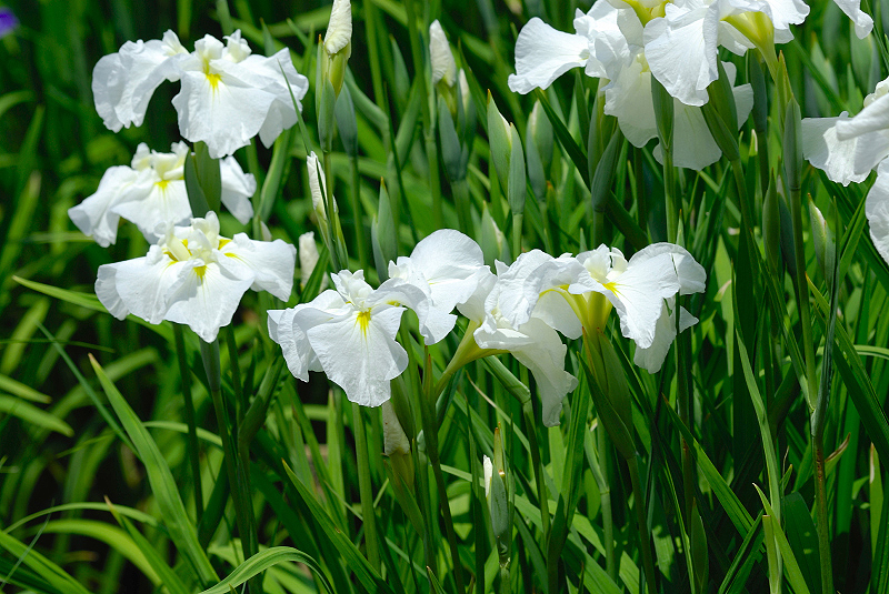 image0136