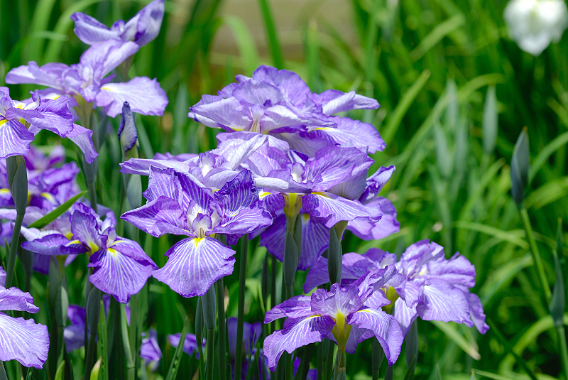 image0138