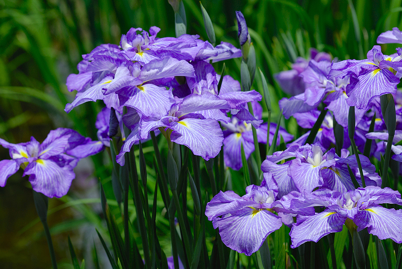 image0139