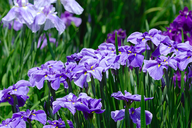 image0141