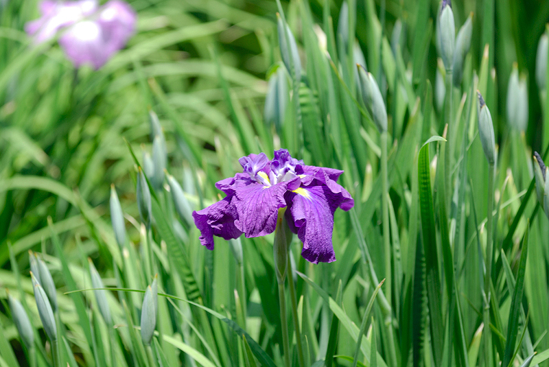 image0142