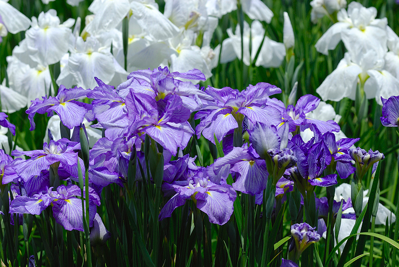image0143