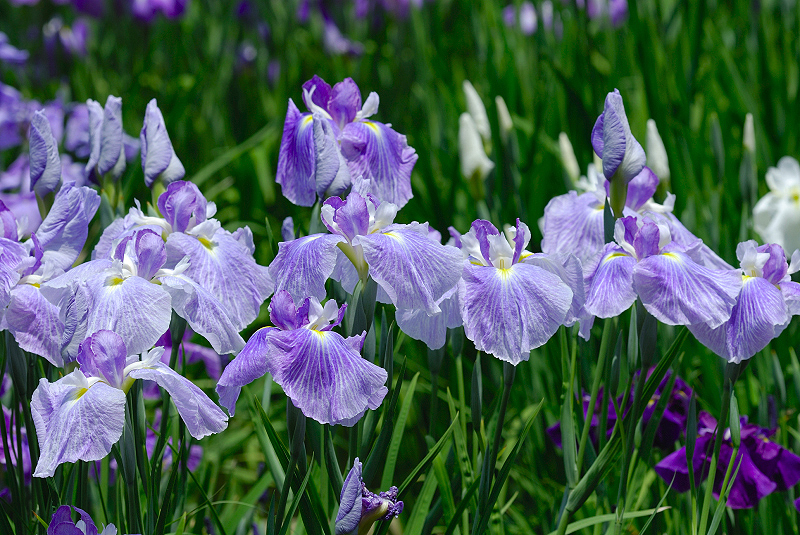 image0144
