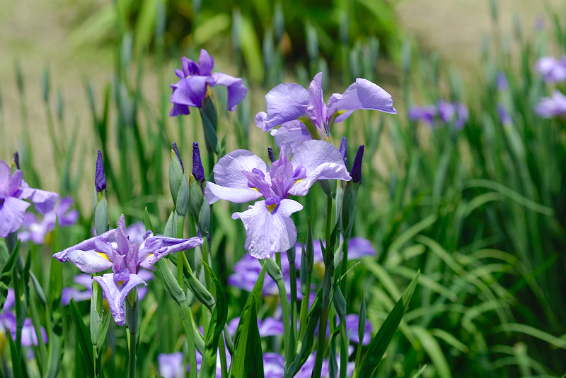 image0145