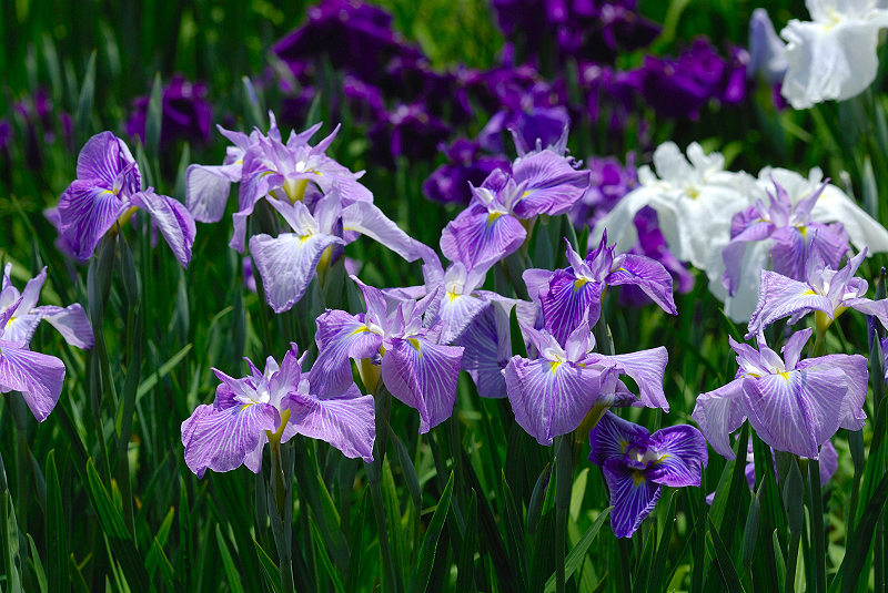 image0147