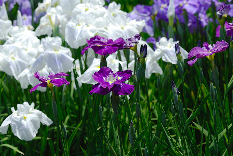 image0148