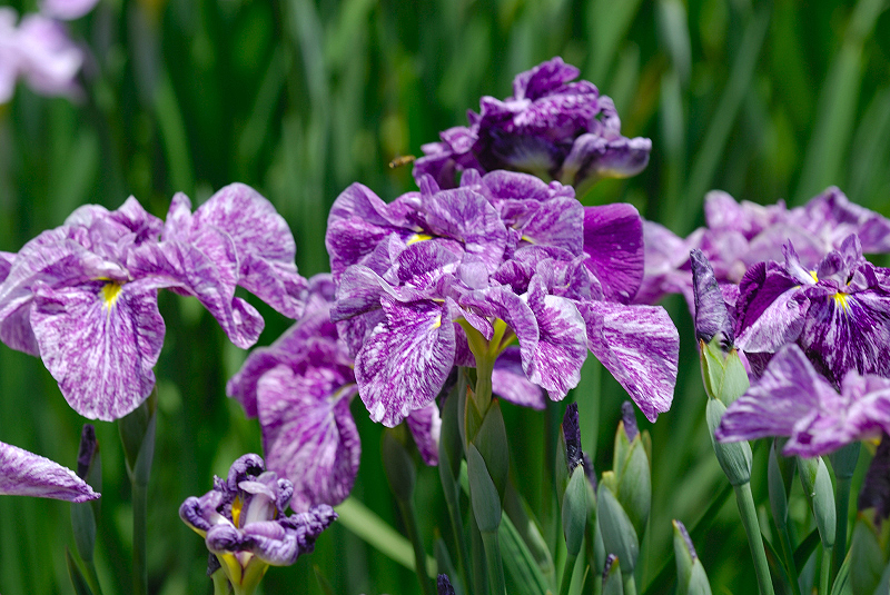 image0149