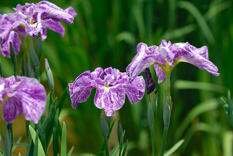 image0150
