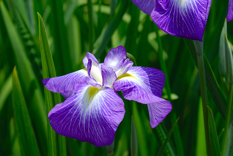 image0151