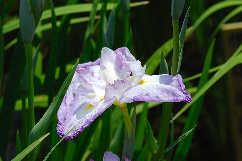 image0155