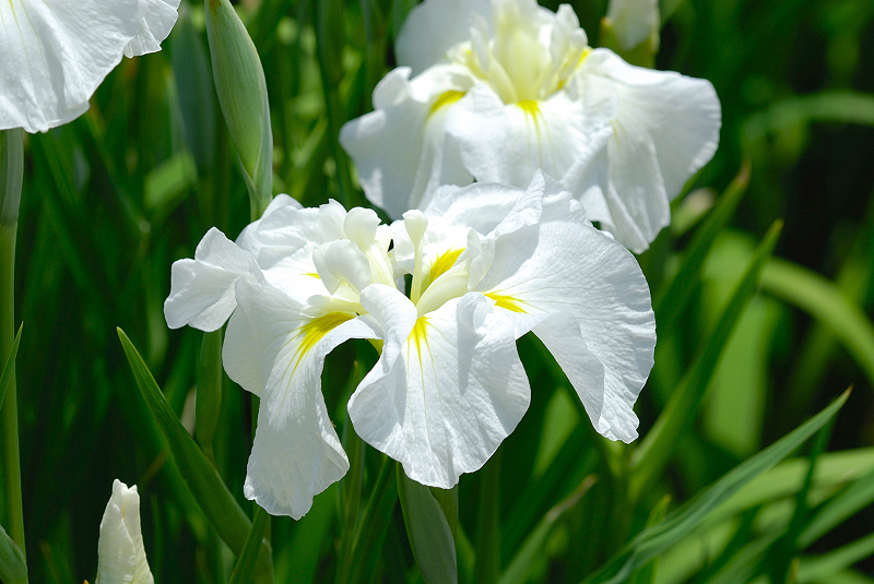 image0156