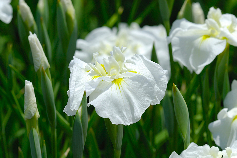 image0157