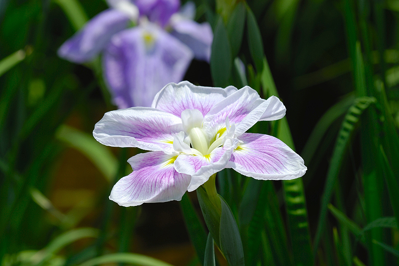 image0158