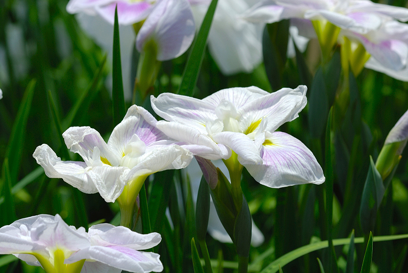 image0159