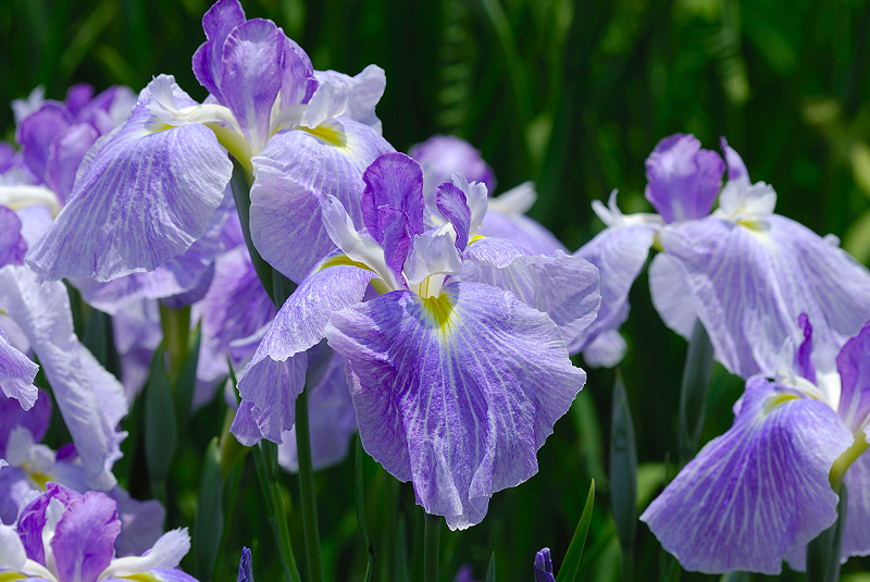 image0160