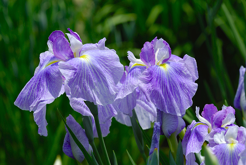 image0161