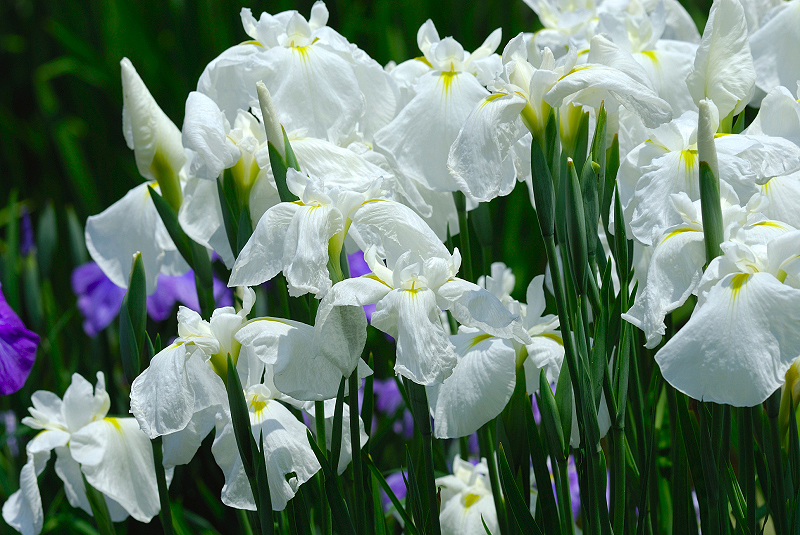 image0164