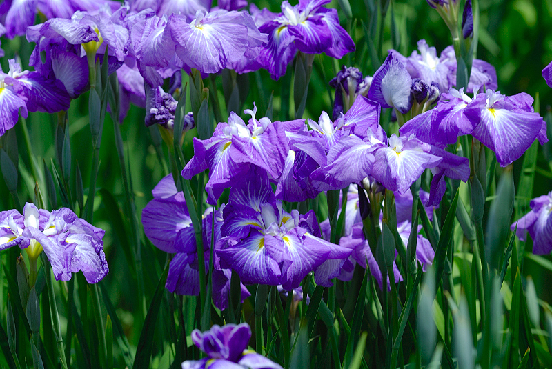 image0166