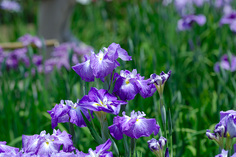 image0167