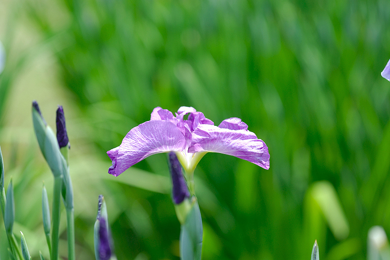 image0169