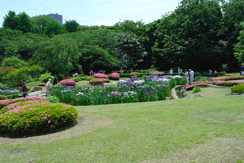 image0171