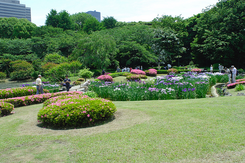 image0172