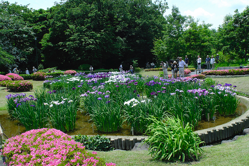 image0173