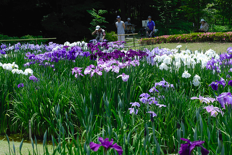 image0175